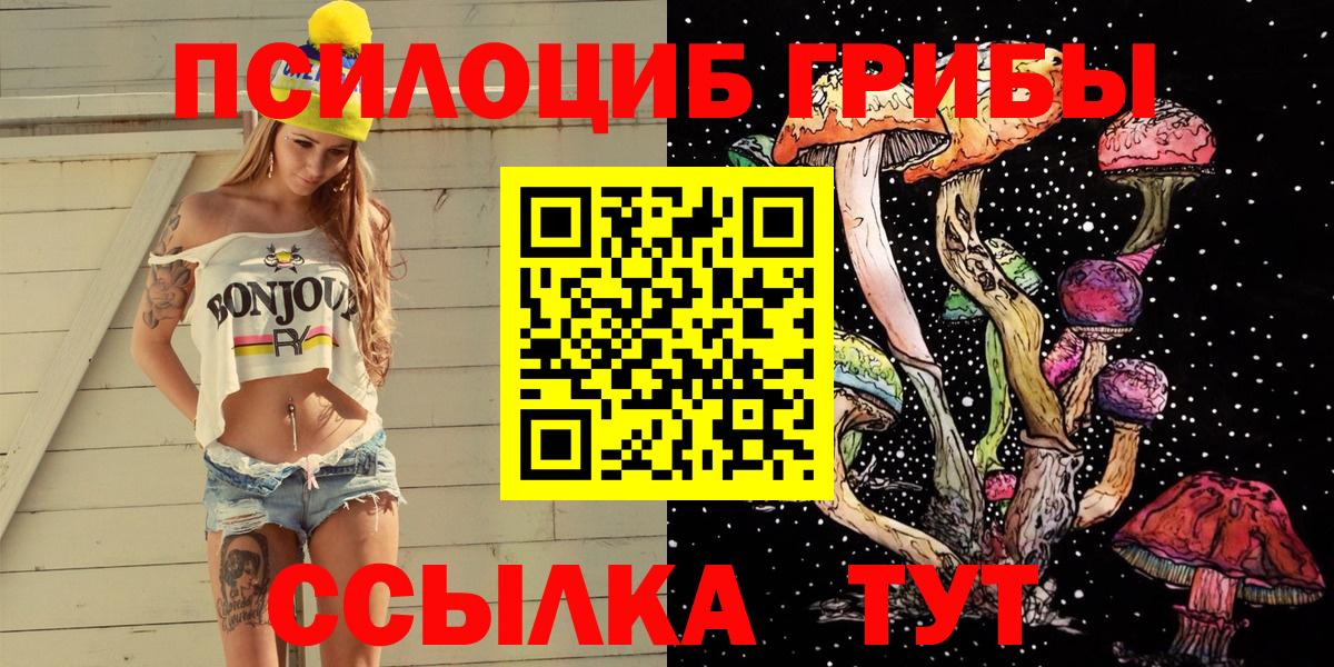 Великие Луки  Галлюциногенные грибы Psilocybine cubensis  Вход с VPN  Псилоцибиновые грибы Psilocybine cubensis 